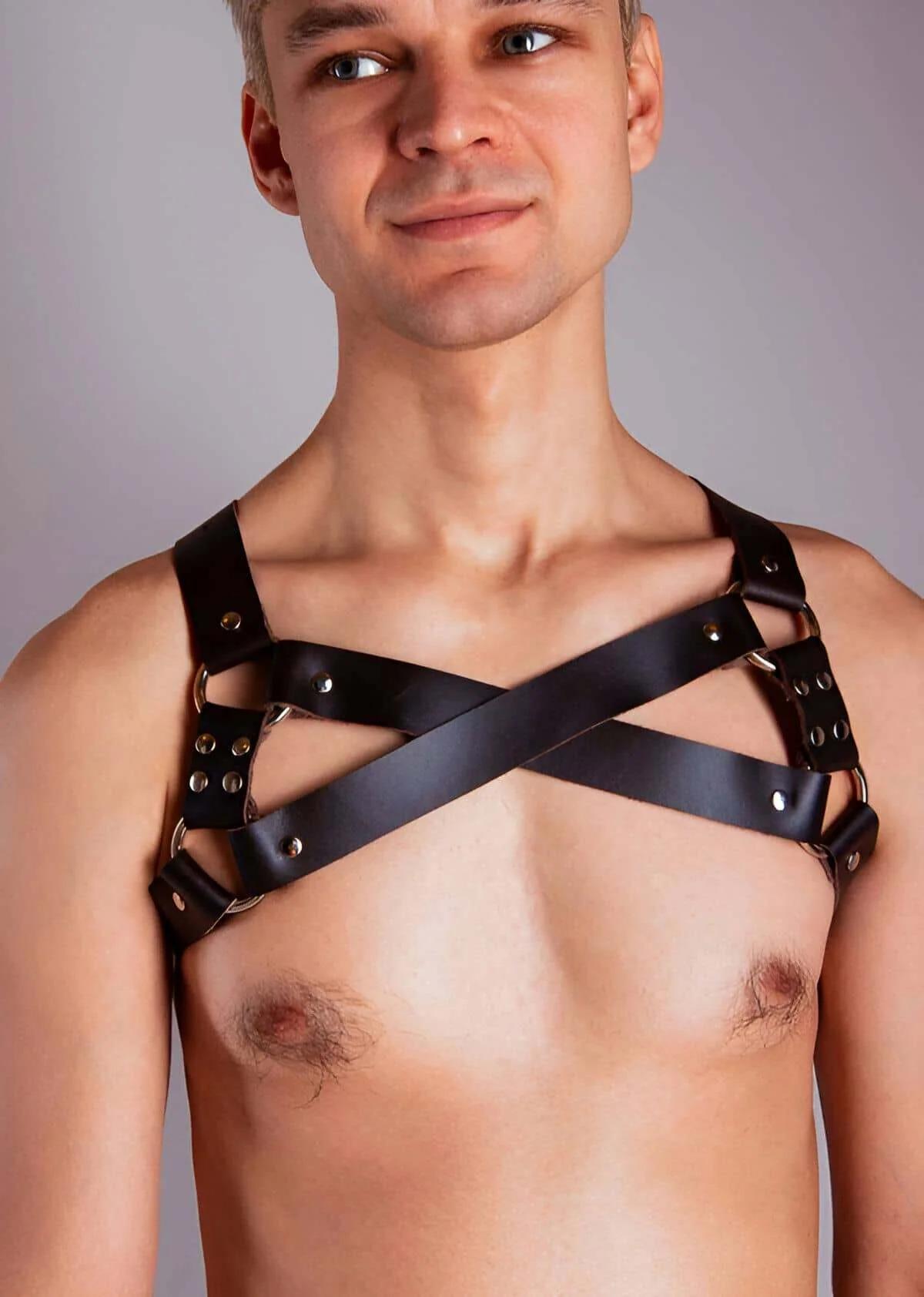 Ayarlanabilir siyah harness göğüs ortası altın metal D-halka yakın çekim