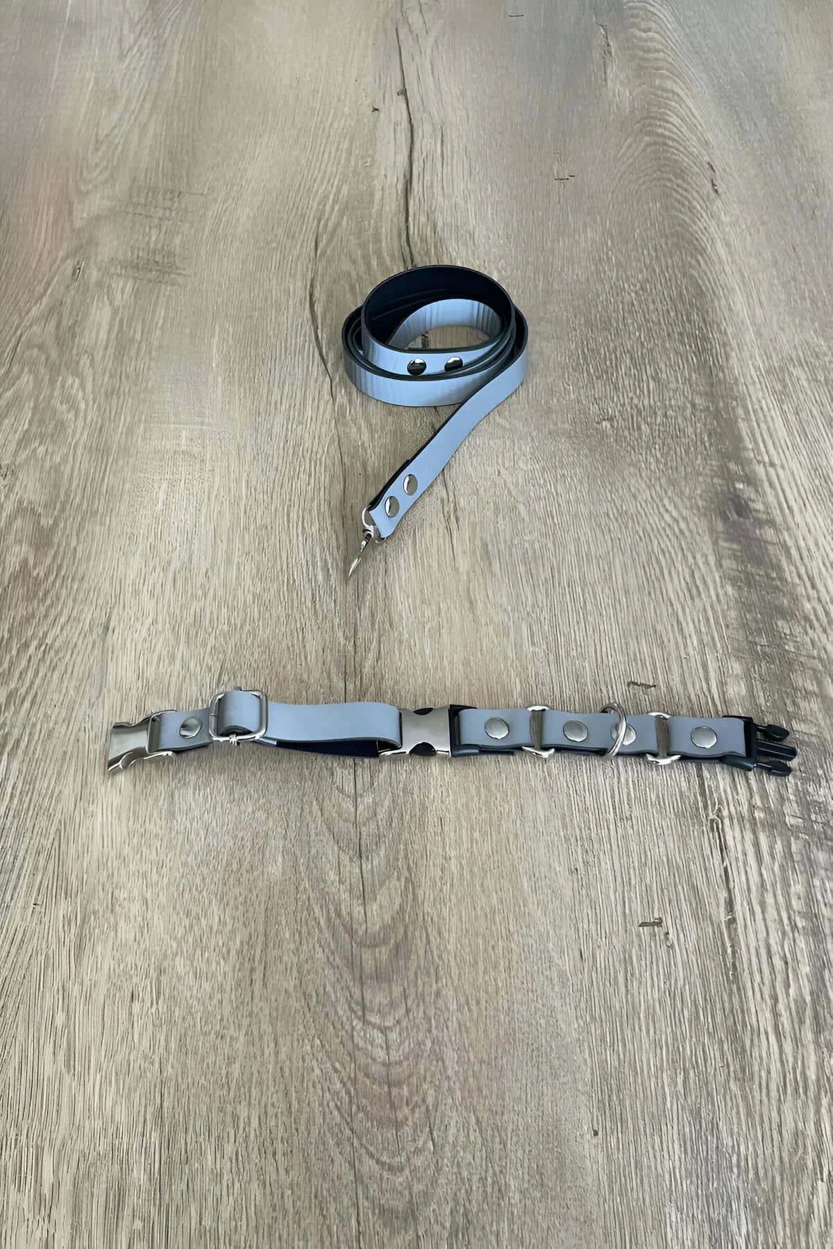 Gri kedi harness gümüş D-halka ve snap toka yakın plan detay