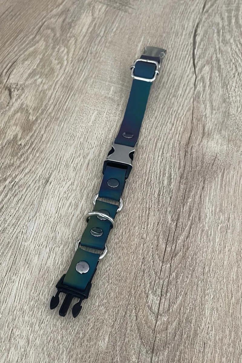 Holografik gökkuşağı kedi tasması el üzerinde, gümüş metal toka detayı
