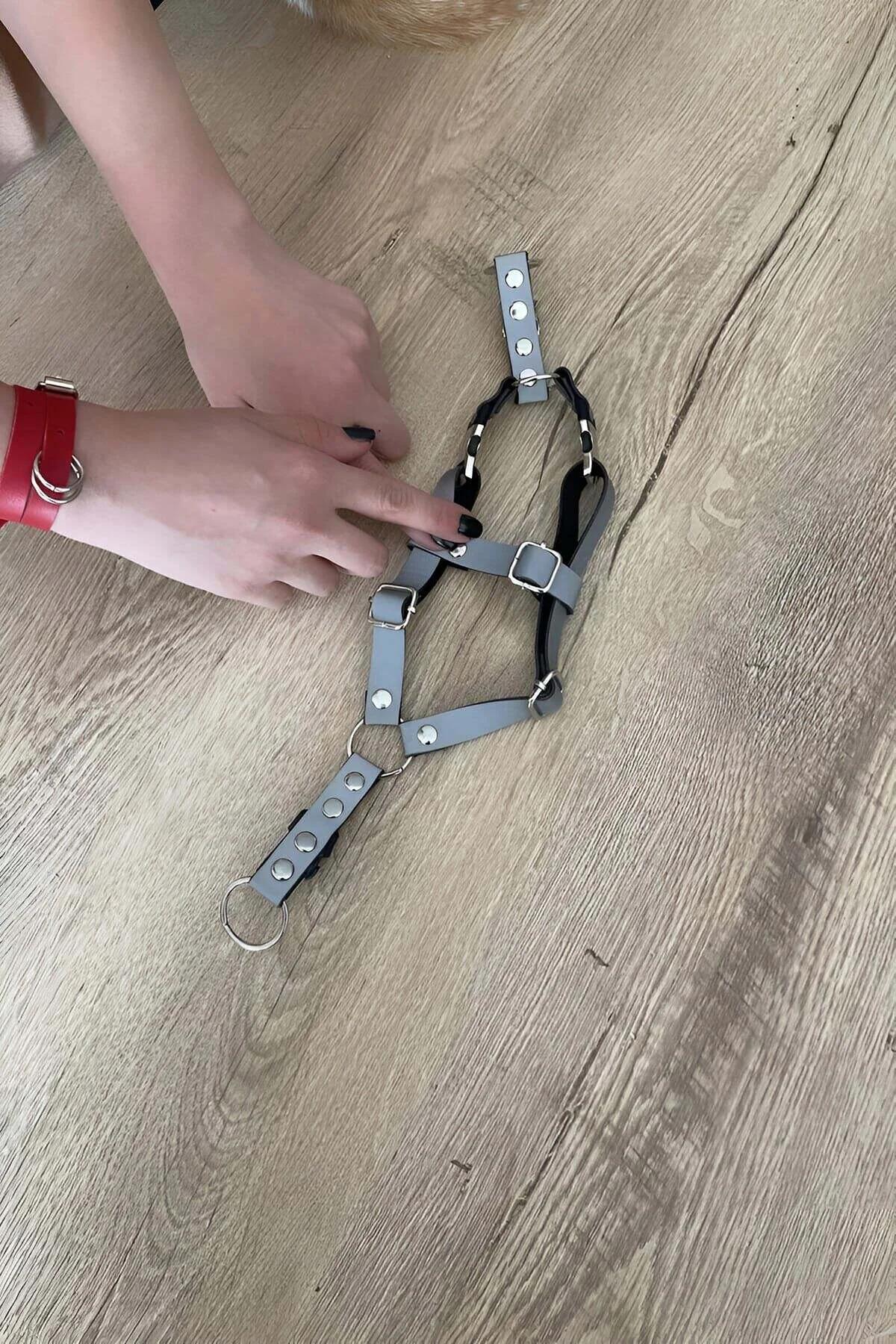 kedi harness 25-45 cm göğüs çevresi ayar tokası üstten görünüm