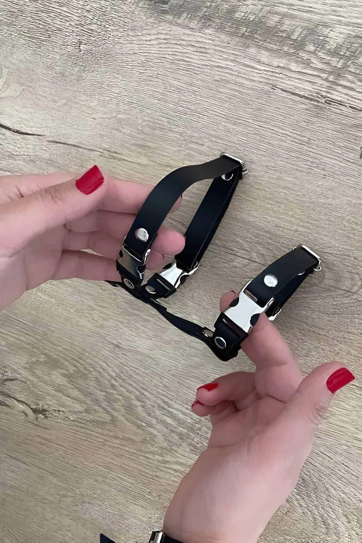 Siyah PU deri kedi tasması gümüş toka detayı yakın çekim