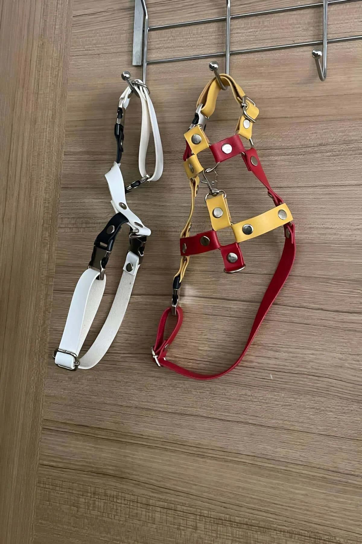 kırmızı sarı PU deri kedi harness H şekilli göğüs kayışı gümüş perçin detayı