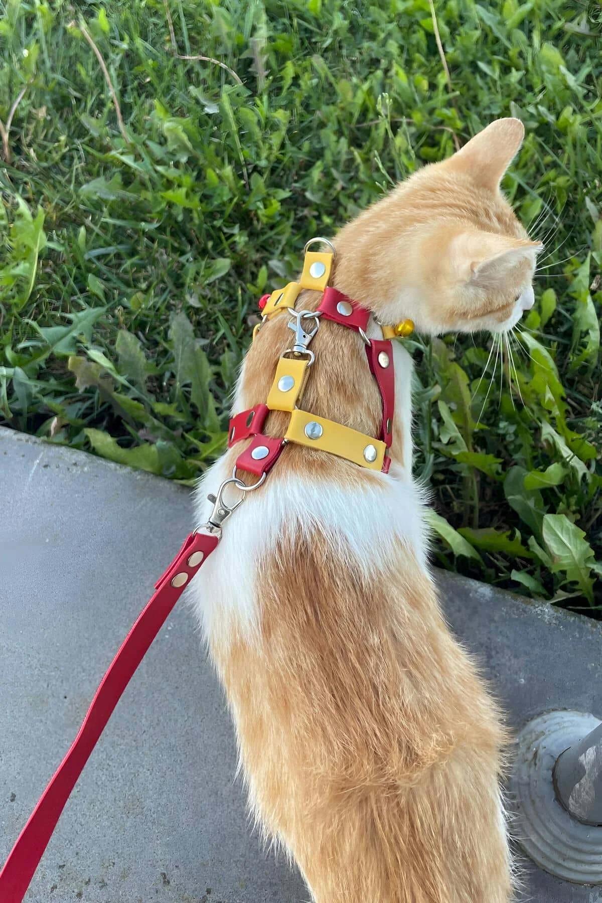 iki renkli ayarlanabilir kedi tasması sarı harness gövdesi ve kırmızı boyun şeridi