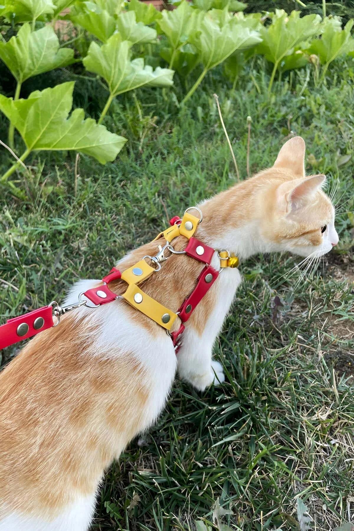 suni deri kedi harness ve kayış seti gümüş D halkası altın zil detayı