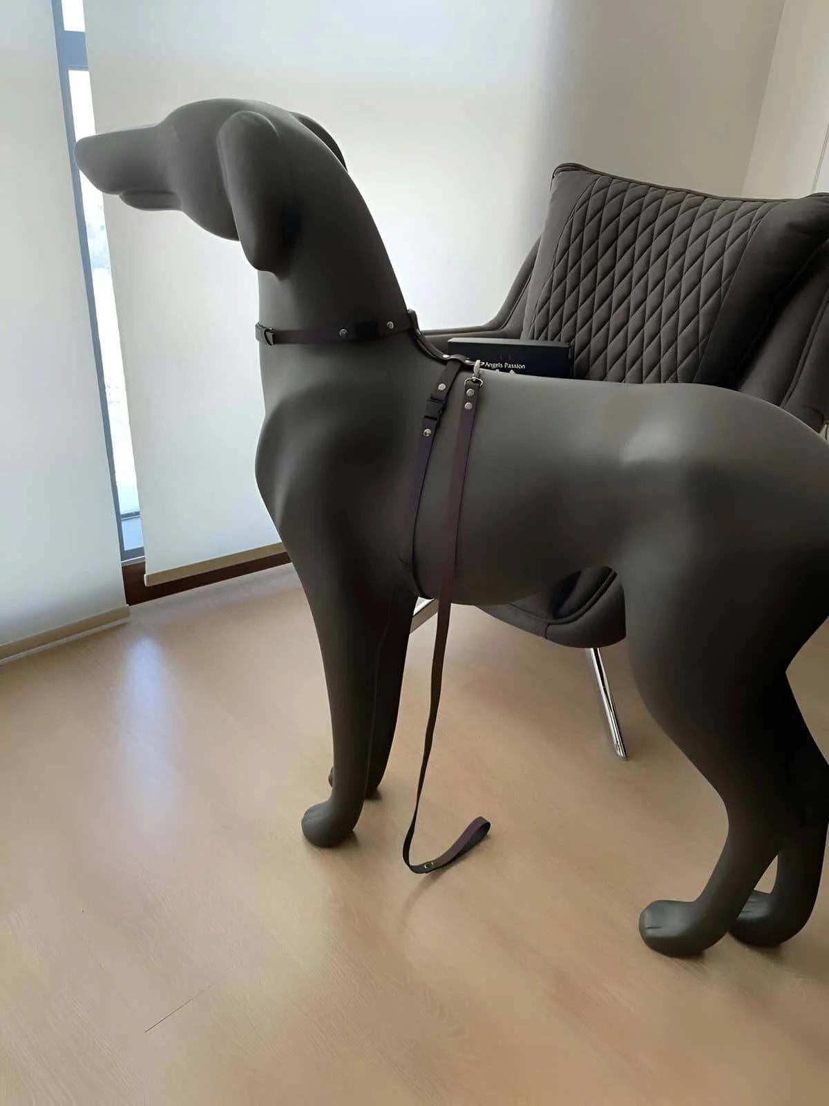 Karanlıkta Renkli Parlayan Şık Köpek Tasma, Özel Tasarım Reflektörlü Köpek Tasması - NPD002