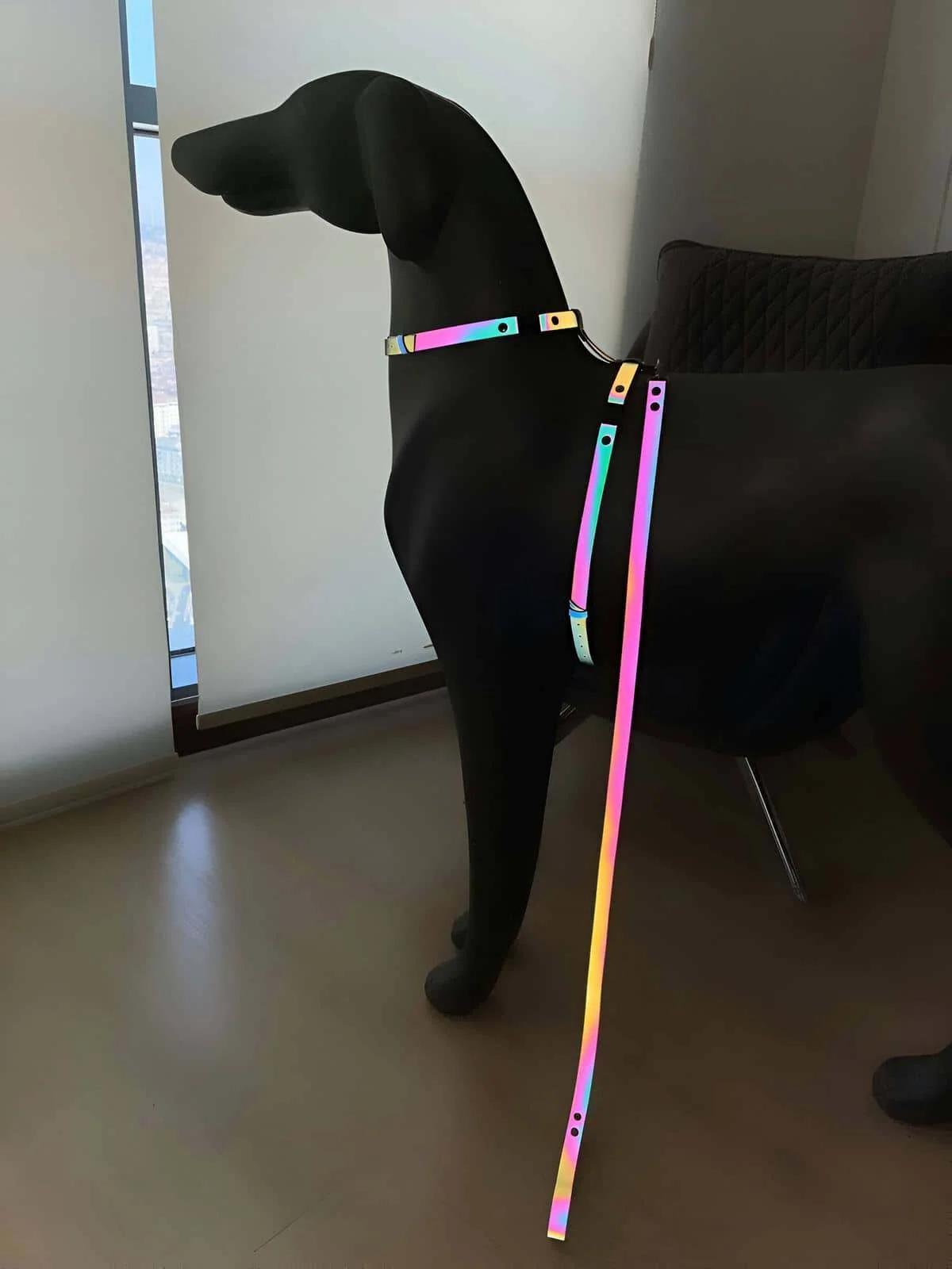 Karanlıkta Renkli Parlayan Şık Köpek Tasma, Özel Tasarım Reflektörlü Köpek Tasması - NPD002
