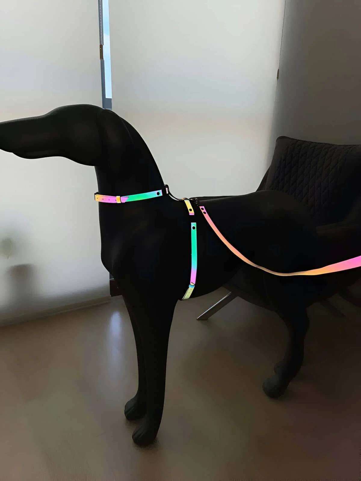 Karanlıkta Renkli Parlayan Şık Köpek Tasma, Özel Tasarım Reflektörlü Köpek Tasması - NPD002
