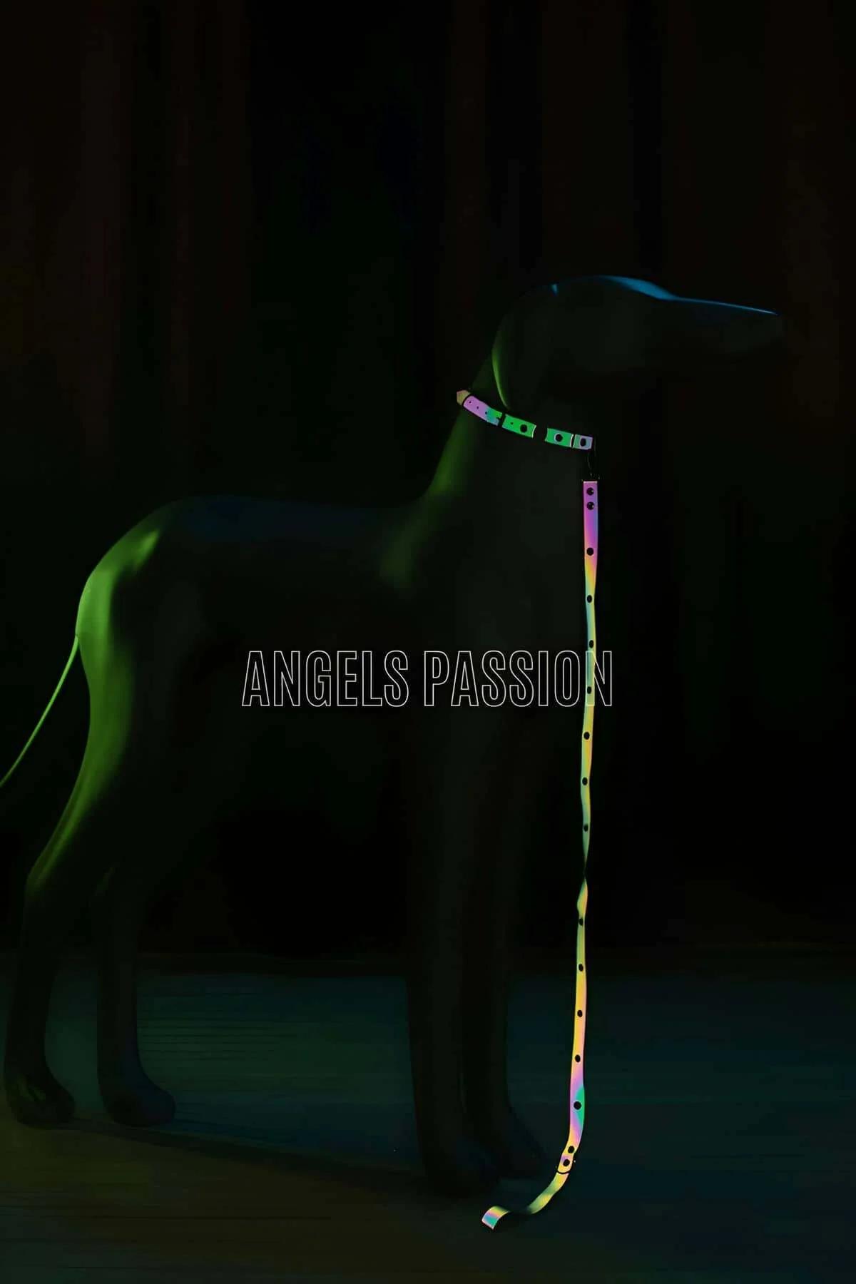 Karanlıkta Renkli Yansıma Yapan Reflektörlü Köpek Tasması - NPD012