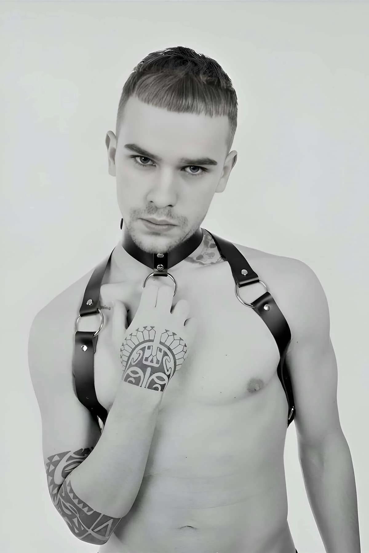 Siyah suni deri erkek harness boyun tasmalı merkezi O-ring ve gümüş metal toka omuz şeritleri