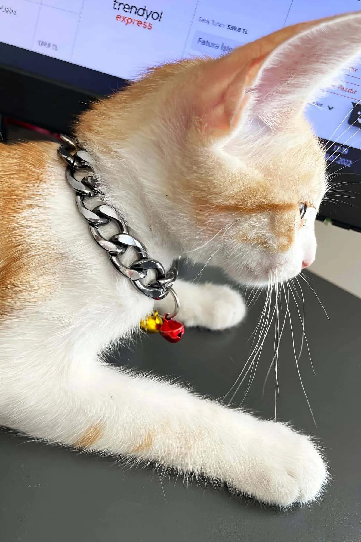 gümüş küba zincir kedi tasması sarı ve kırmızı renkli çift zilli alüminyum metal tasma turuncu kedi boyunda