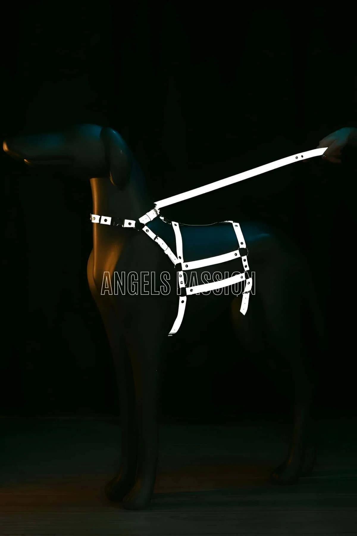 White reflective body harness with cage chest panel and silver rivet hardware glowing against dark background